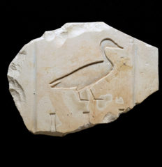 Egyptian Limestone Relief of A Duck