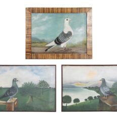 Portraits Of Racing Pigeons (Set Of Three)