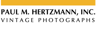 Hertzmann Logo